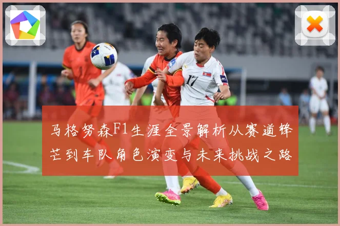 马格努森F1生涯全景解析从赛道锋芒到车队角色演变与未来挑战之路-深度解析