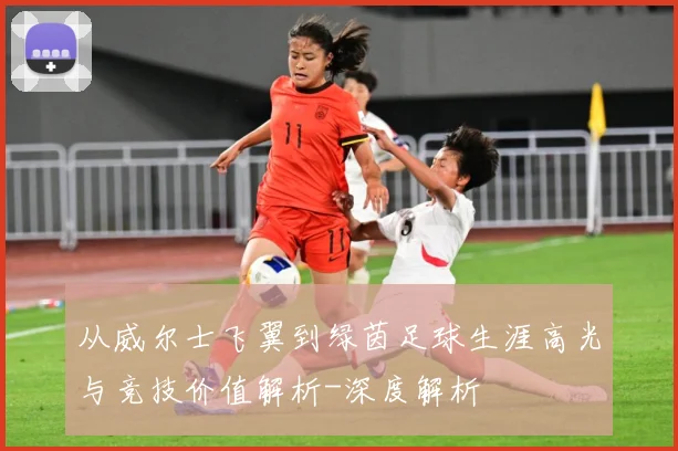 从威尔士飞翼到绿茵足球生涯高光与竞技价值解析-深度解析