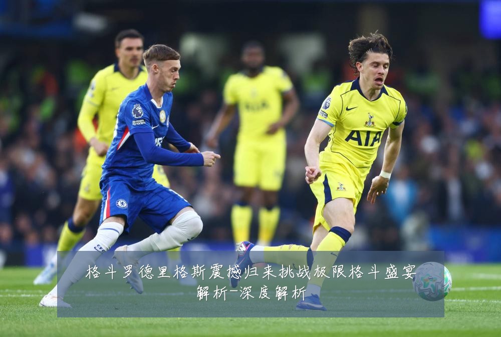 格斗罗德里格斯震撼归来挑战极限格斗盛宴解析-深度解析
